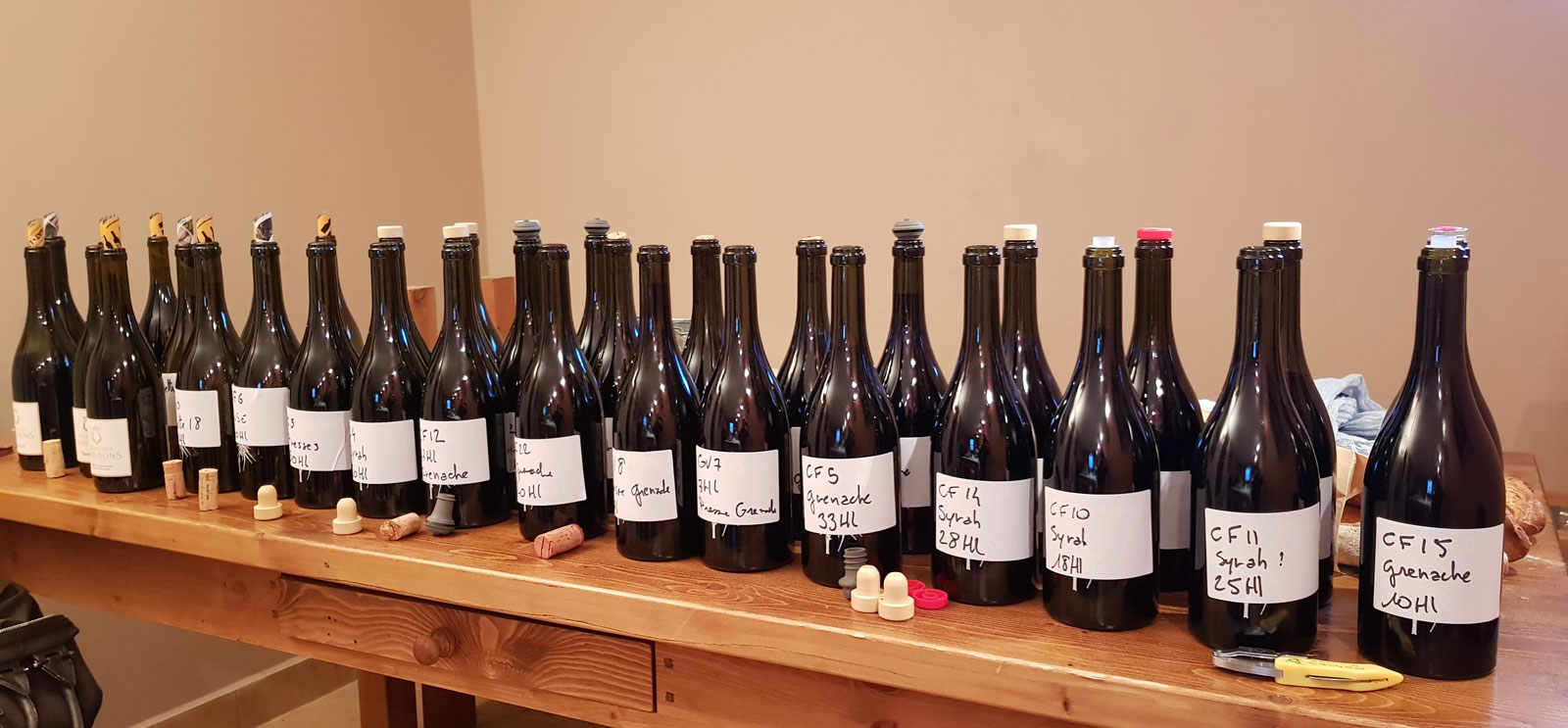 Assemblage du millesime 2018 au domaine Terre des Chardons