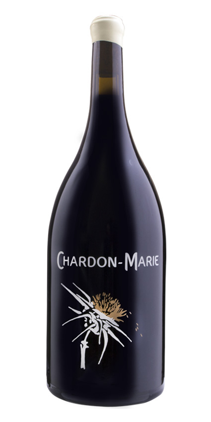 Chardon-Marie (Magnum) - Terre des Chardons