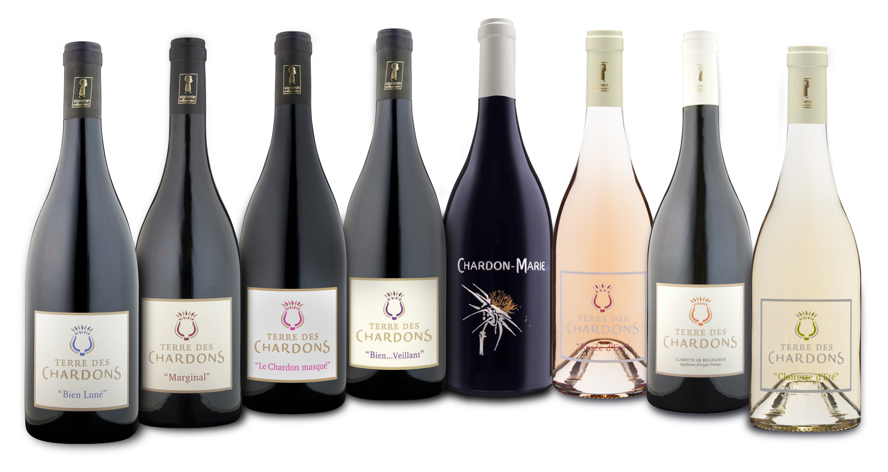 Découvrir les vins Terre des Chardons
