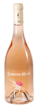 Chardon-Marie 2024 (profil vif)